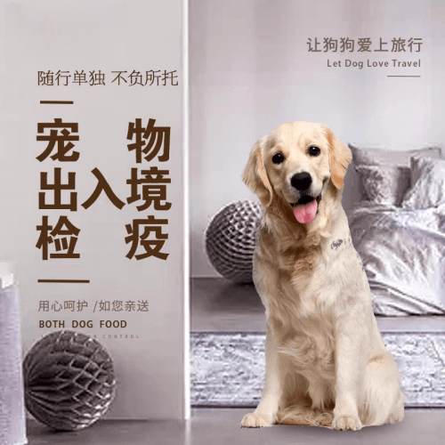 安顺市宠物托运到哥伦比亚猫狗宠物入境规定和