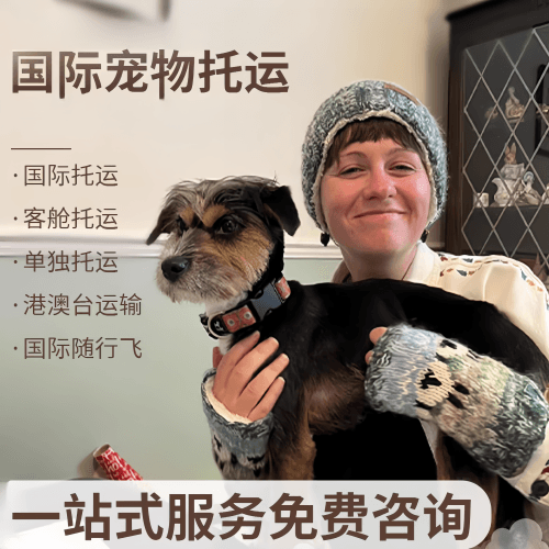 安顺市国际宠物托运到阿根廷宠物入境规定和要