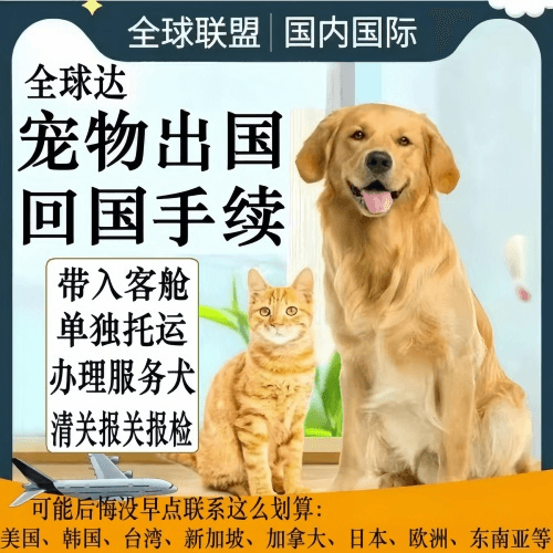 安顺市宠物托运到柬埔寨宠物入境规定和要求