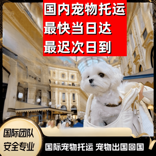 安顺市到澳大利亚（澳洲）宠物入境规定和要求