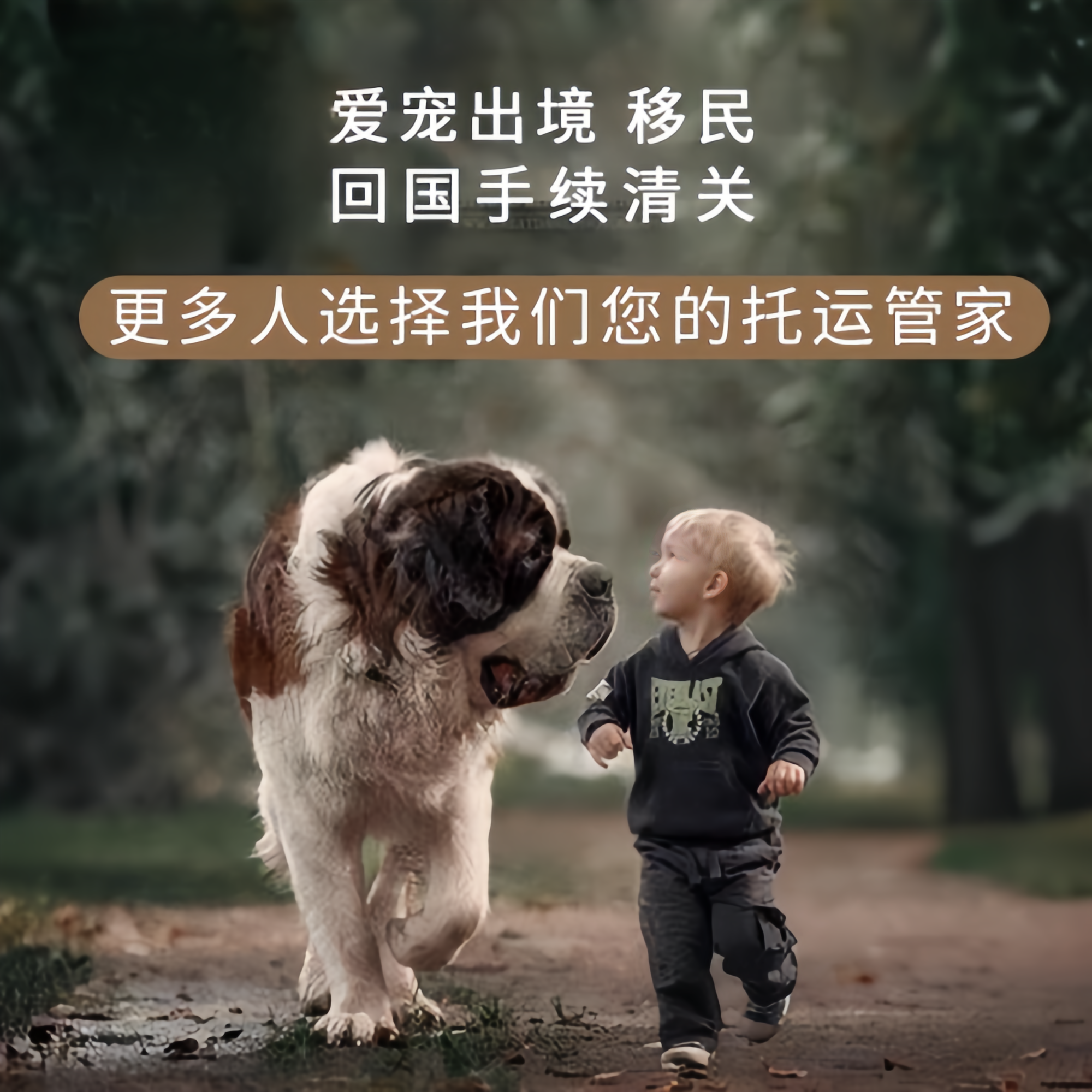 满财安顺市宠物全球达宠物托运在遵守入境目的地政策的条件