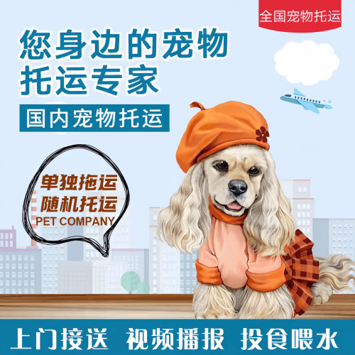 满财安顺市宠物全球达宠物托运作为专业的宠物运输代理机构